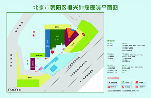 日韩50路熟女日逼网北京市朝阳区桓兴肿瘤医院平面图